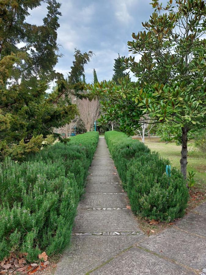 Домики У Лизы Под Ключ Pitsunda Exterior foto